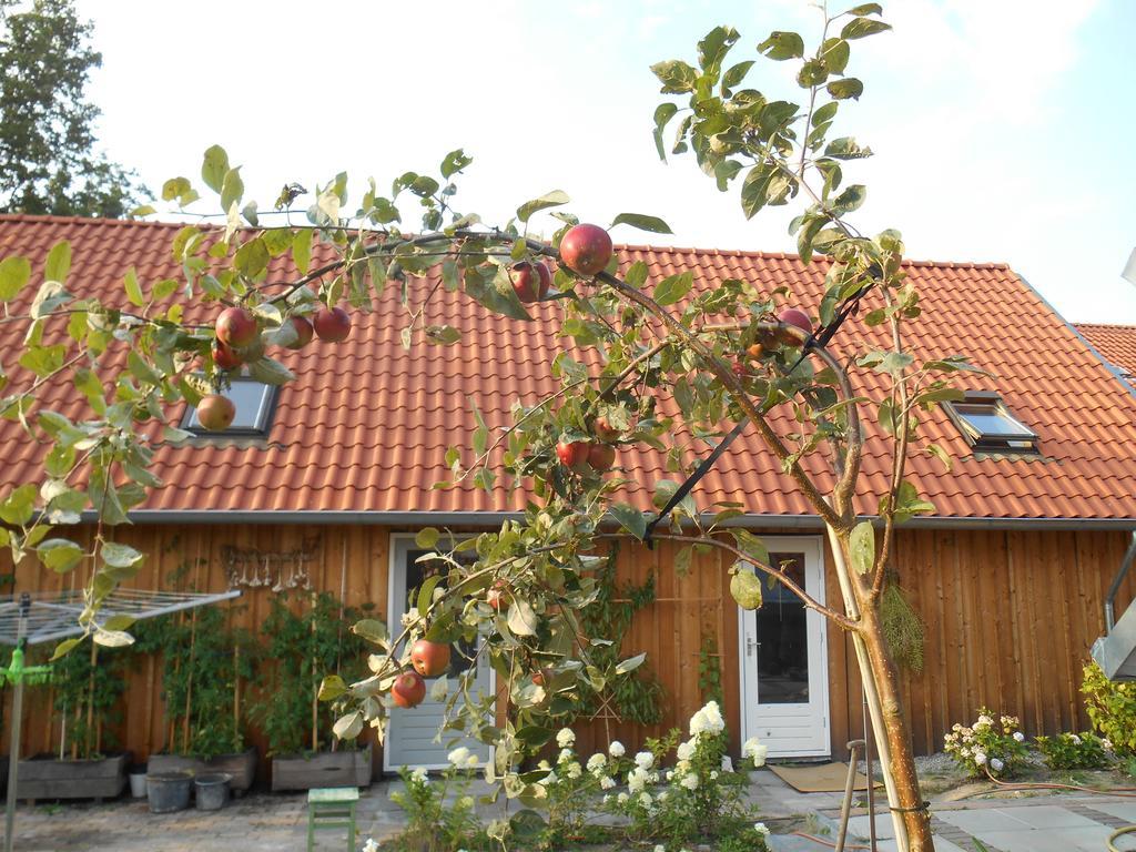 Bij En Boom Bed & Breakfast Drachten Ngoại thất bức ảnh