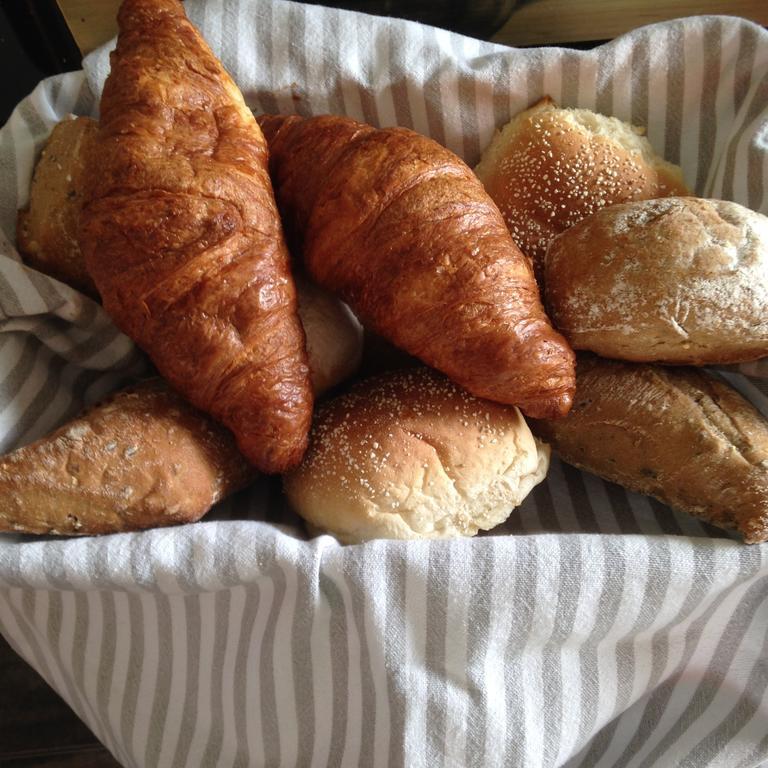 Bij En Boom Bed & Breakfast Drachten Ngoại thất bức ảnh