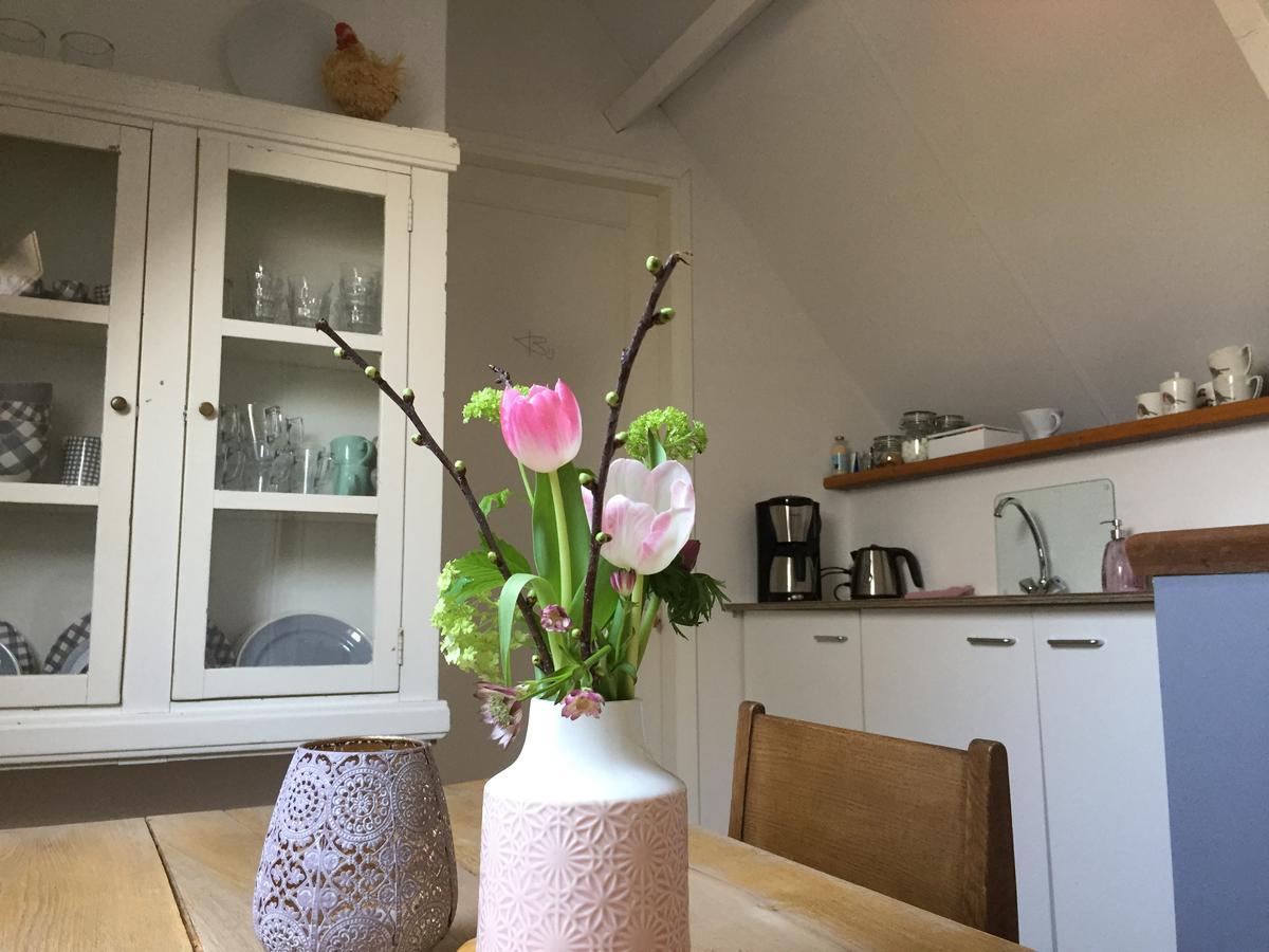Bij En Boom Bed & Breakfast Drachten Ngoại thất bức ảnh