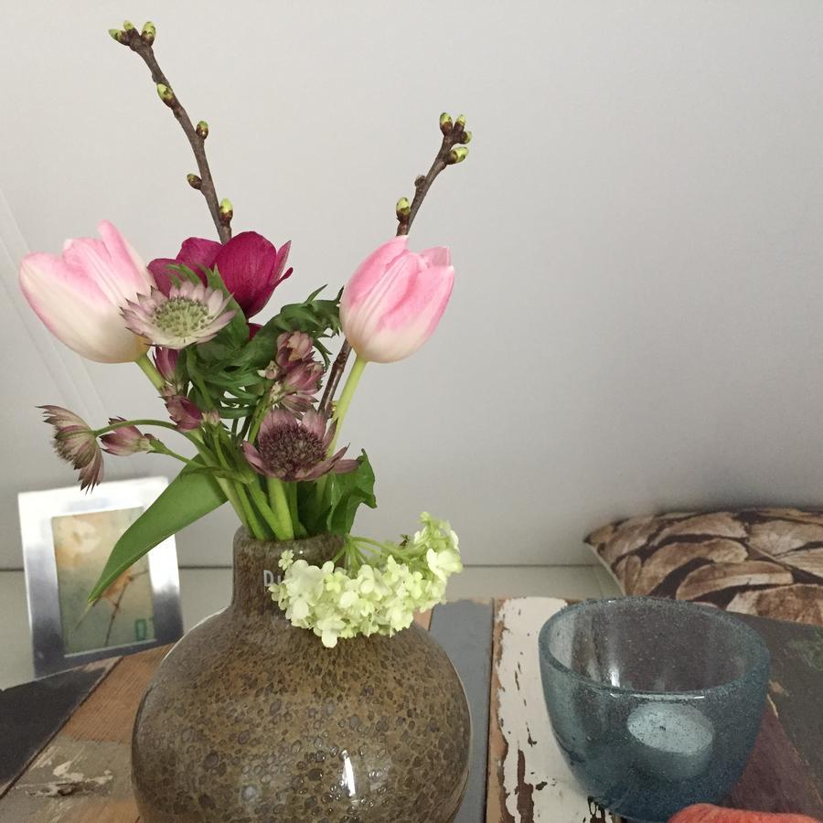 Bij En Boom Bed & Breakfast Drachten Ngoại thất bức ảnh